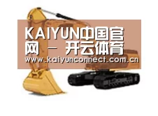 产品名称八