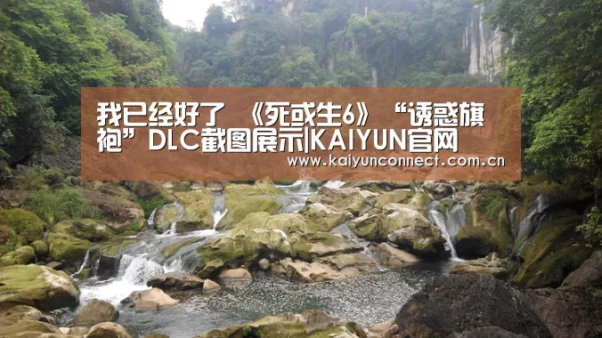 开云入口