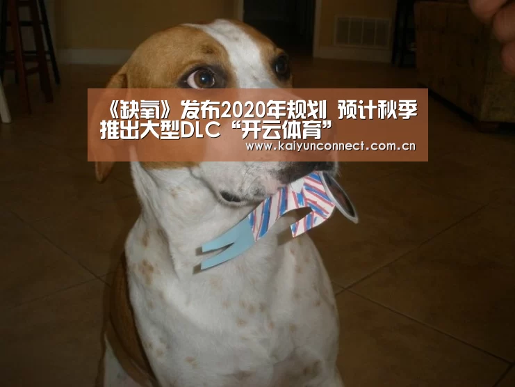 《缺氧》发布2020年规划 预计秋季推出大型DLC“开云体育”(图1) KAIYUN官网
