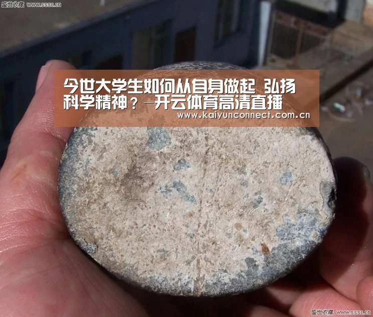 开云体育高清直播
