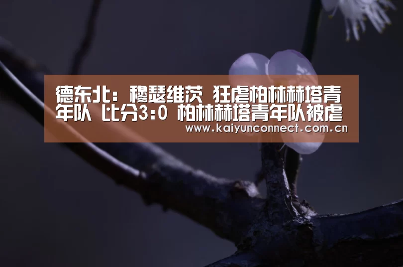 德东北: 穆瑟维茨 狂虐柏林赫塔青年队 比分3:0 柏林赫塔青年队被虐:开云体育(图3) 开云入口