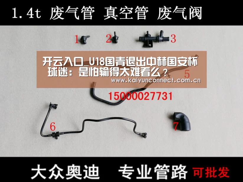 KAIYUN官网