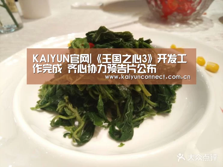 KAIYUN官网|《王国之心3》开发工作完成 齐心协力预告片公布(图1) 开云体育高清直播