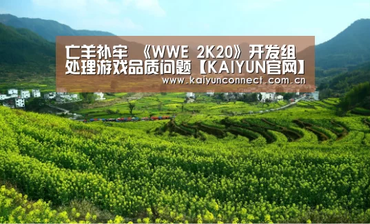 开云入口